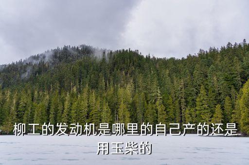  柳工的發(fā)動(dòng)機(jī)是哪里的自己產(chǎn)的還是用玉柴的