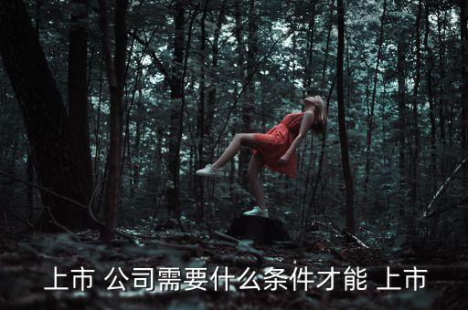 沒(méi)有上市的公司可以發(fā)行股票嗎