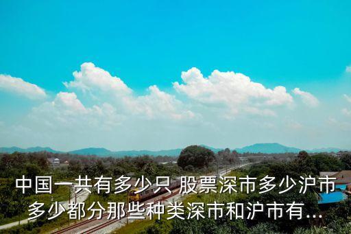 中國(guó)一共有多少只 股票深市多少滬市多少都分那些種類深市和滬市有...