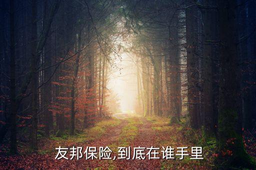  友邦保險,到底在誰手里