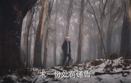 求一份處罰通告