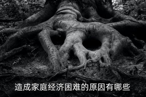 造成家庭經(jīng)濟困難的原因有哪些