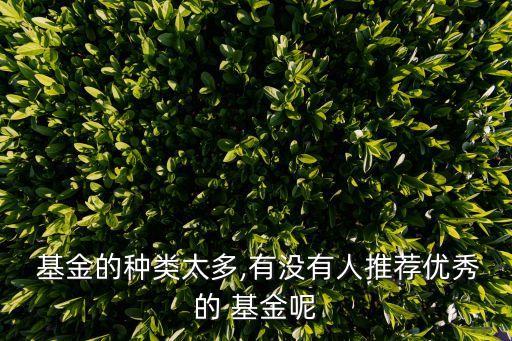  基金的種類太多,有沒(méi)有人推薦優(yōu)秀的 基金呢