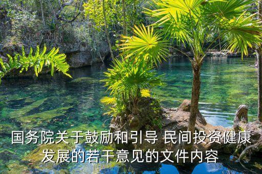 國務(wù)院關(guān)于鼓勵(lì)和引導(dǎo) 民間投資健康發(fā)展的若干意見的文件內(nèi)容