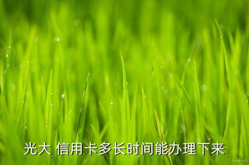 光大 信用卡多長時(shí)間能辦理下來
