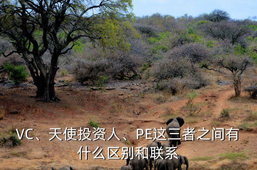 VC、天使投資人、PE這三者之間有什么區(qū)別和聯(lián)系