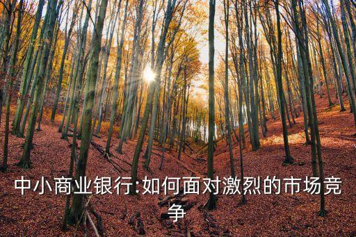 中小商業(yè)銀行:如何面對激烈的市場競爭