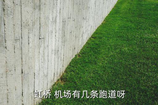  虹橋 機場有幾條跑道呀