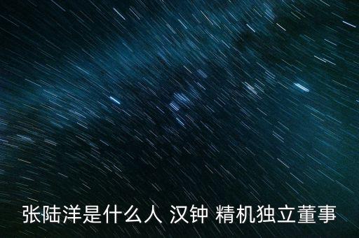 張陸洋是什么人 漢鐘 精機獨立董事