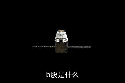 兩市最低市盈率股票,2022年市盈率最低的股票