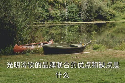  光明冷飲的品牌聯(lián)合的優(yōu)點(diǎn)和缺點(diǎn)是什么