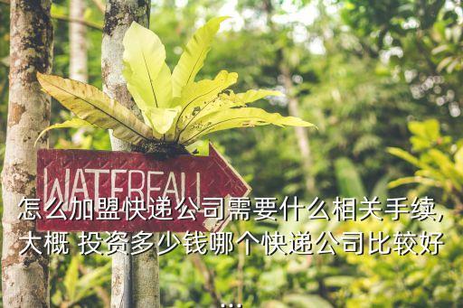 怎么加盟快遞公司需要什么相關(guān)手續(xù),大概 投資多少錢哪個快遞公司比較好...