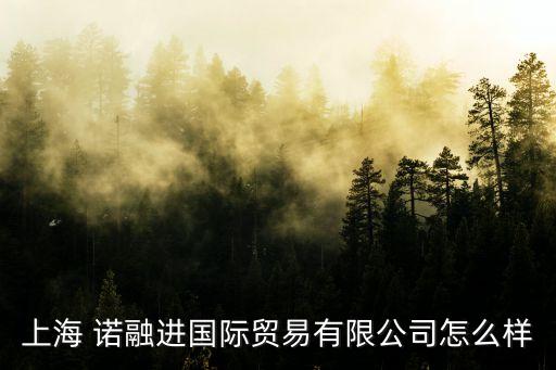 上海 諾融進(jìn)國(guó)際貿(mào)易有限公司怎么樣