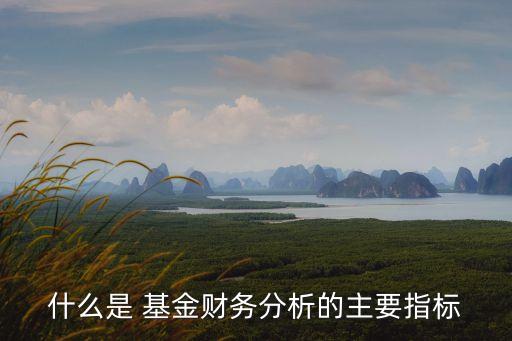 什么是 基金財(cái)務(wù)分析的主要指標(biāo)