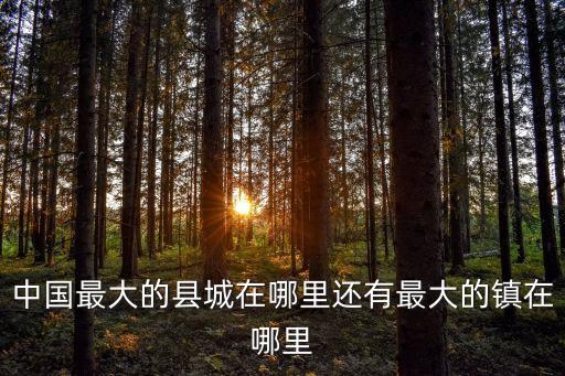中國(guó)第一稅收大鎮(zhèn)