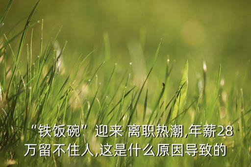 “鐵飯碗”迎來(lái) 離職熱潮,年薪28萬(wàn)留不住人,這是什么原因?qū)е碌? class=