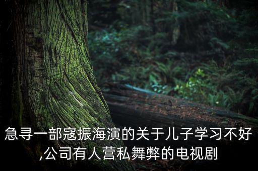 福建長龍影視集團,福建世紀長龍影視文化發(fā)展公司