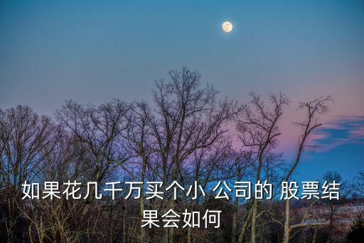 如果花幾千萬買個小 公司的 股票結(jié)果會如何