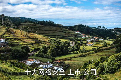 十大網(wǎng)絡(luò)安全 上市 公司