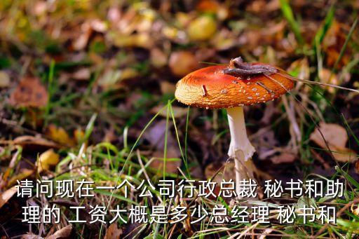 請問現(xiàn)在一個公司行政總裁 秘書和助理的 工資大概是多少總經理 秘書和