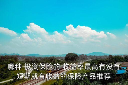各家保險公司投資收益率,2022年保險公司投資收益率排行榜