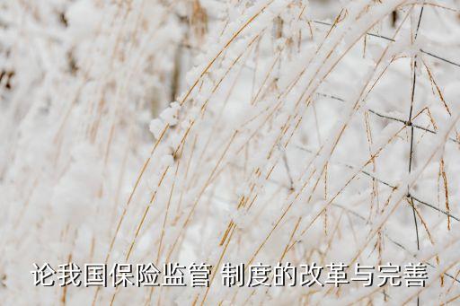 中國存款保險(xiǎn)制度改進(jìn),中國的存款保險(xiǎn)制度什么時(shí)候開始