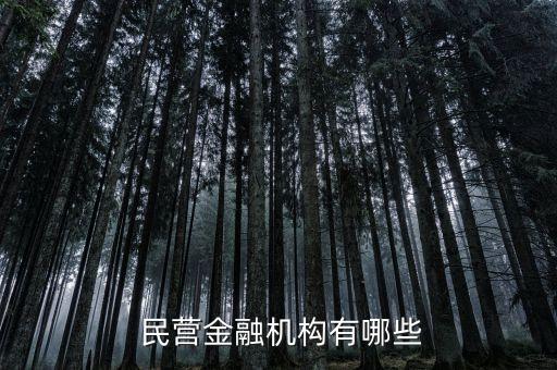 民營銀行的股票,中國最穩(wěn)定十大民營銀行