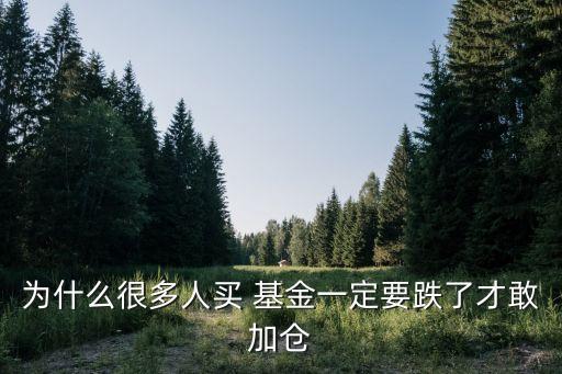 為什么很多人買 基金一定要跌了才敢加倉(cāng)