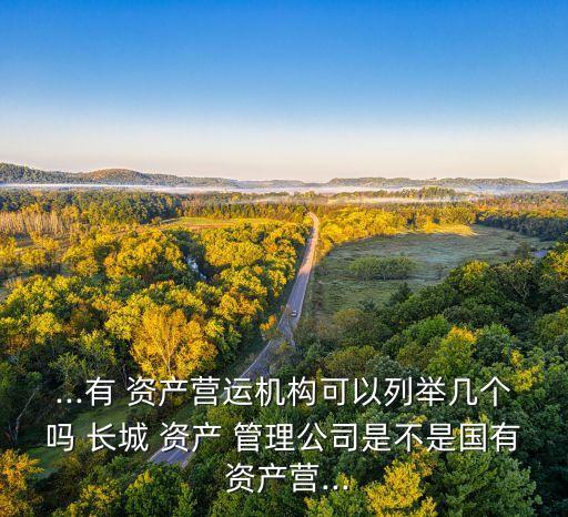 長(zhǎng)城資產(chǎn)管理公司石家莊辦事處,石家莊長(zhǎng)城資產(chǎn)管理有限公司