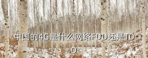 中國(guó)的4G是什么網(wǎng)絡(luò)FDD還是TDD
