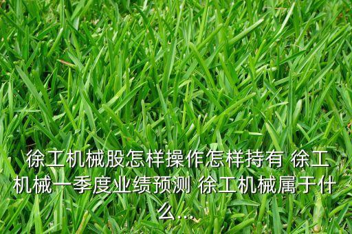  徐工機(jī)械股怎樣操作怎樣持有 徐工機(jī)械一季度業(yè)績預(yù)測 徐工機(jī)械屬于什么...