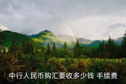 中行人民幣購(gòu)匯要收多少錢 手續(xù)費(fèi)