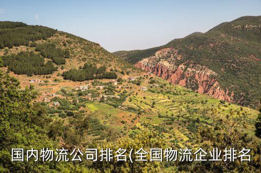 中國外運長航集團有限公司發(fā)展