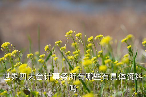 世界四大會計事務(wù)所有哪些有具體資料嗎