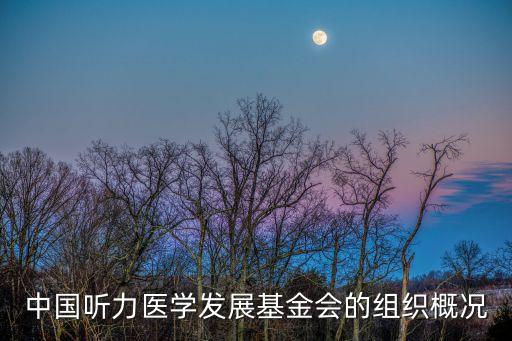 中國聽力醫(yī)學發(fā)展基金會的組織概況