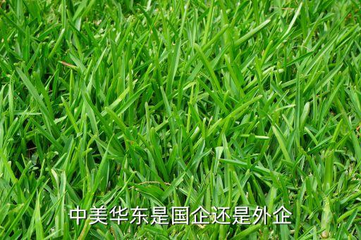 中美華東是國企還是外企