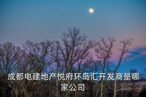  成都電建地產(chǎn)悅府環(huán)島匯開(kāi)發(fā)商是哪家公司