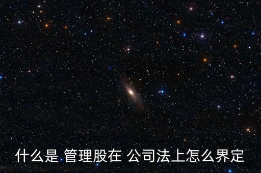什么是 管理股在 公司法上怎么界定