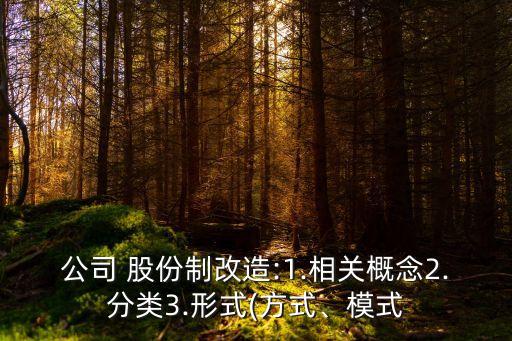 公司 股份制改造:1.相關(guān)概念2.分類3.形式(方式、模式