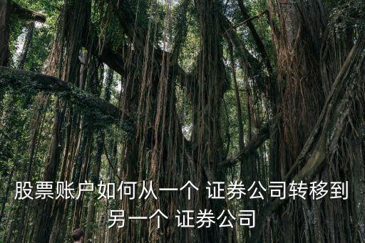 股票賬戶如何從一個 證券公司轉(zhuǎn)移到另一個 證券公司