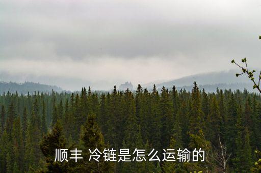 順豐 冷鏈?zhǔn)窃趺催\輸?shù)? class=