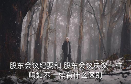 公司股東會資料,公司被執(zhí)行股東會被執(zhí)行