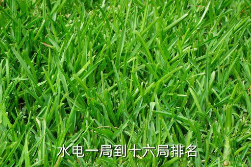  水電一局到十六局排名