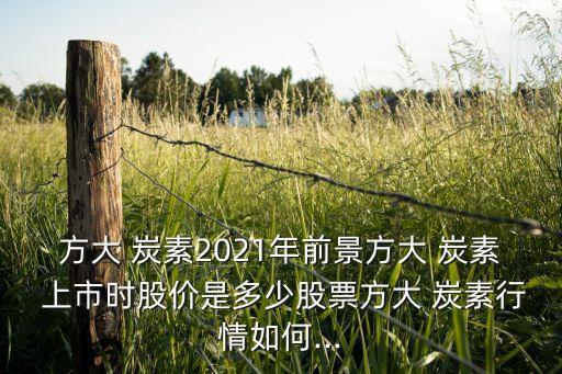 方大 炭素2021年前景方大 炭素 上市時股價是多少股票方大 炭素行情如何...