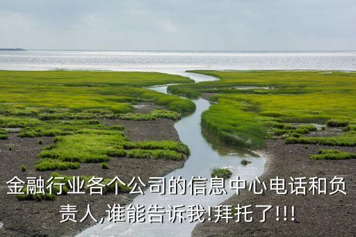 金融行業(yè)各個公司的信息中心電話和負(fù)責(zé)人,誰能告訴我!拜托了!!!