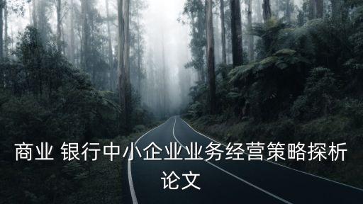 商業(yè) 銀行中小企業(yè)業(yè)務(wù)經(jīng)營(yíng)策略探析論文