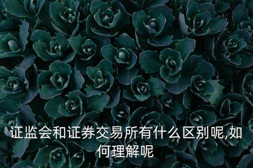 證監(jiān)會和證券交易所有什么區(qū)別呢,如何理解呢