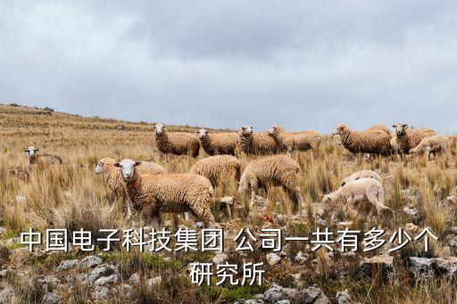 中國(guó)電子科技集團(tuán) 公司一共有多少個(gè)研究所