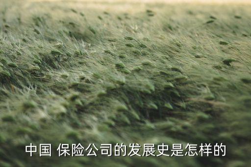 中國 保險公司的發(fā)展史是怎樣的