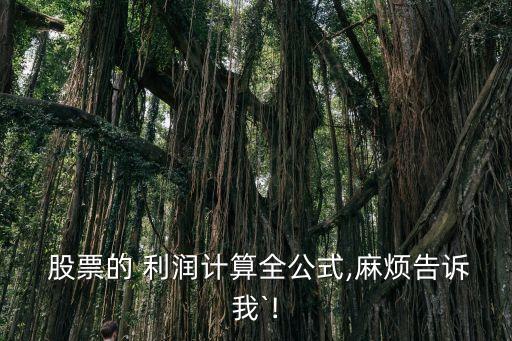  股票的 利潤計(jì)算全公式,麻煩告訴我`!